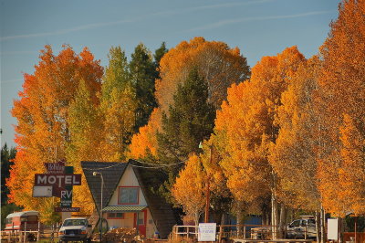DSC_7558abc_resize.jpg