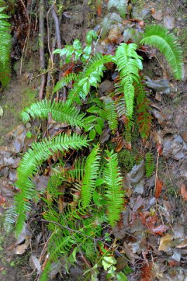 DSC_8213_resize.jpg