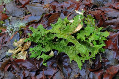 DSC_8223_resize.jpg