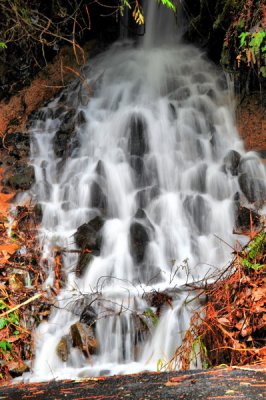 DSC_8252_resize.jpg