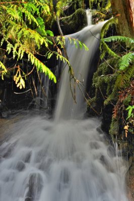 DSC_8269_resize.jpg