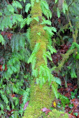 DSC_8290c_resize.jpg