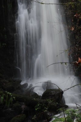 DSC_8321_resize.JPG