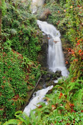 DSC_8330_resize.jpg