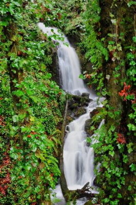 DSC_8335d_resize.jpg