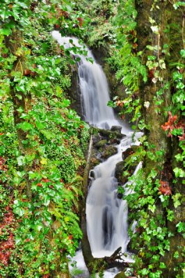 DSC_8335e_resize.jpg