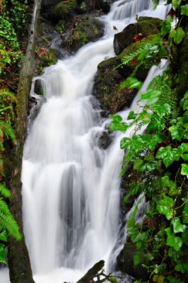 DSC_8339a_resize.jpg