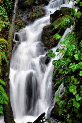 DSC_8342b_resize.jpg