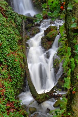 DSC_8358a_resize.jpg