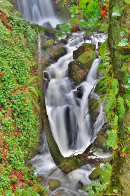 DSC_8358b_resize.jpg