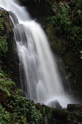 DSC_8359_resize.JPG