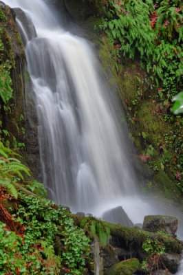 DSC_8363a_resize.jpg