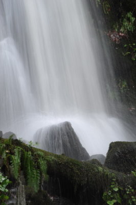 DSC_8374_resize.JPG