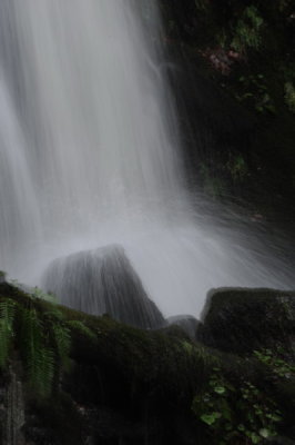 DSC_8376_resize.JPG
