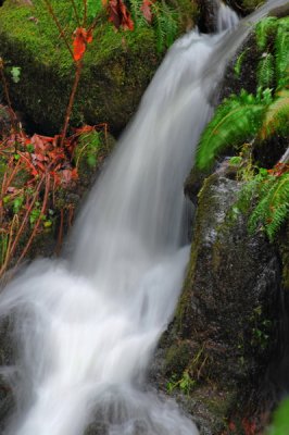 DSC_8390a_resize.jpg