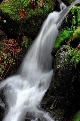 DSC_8391b_resize.jpg