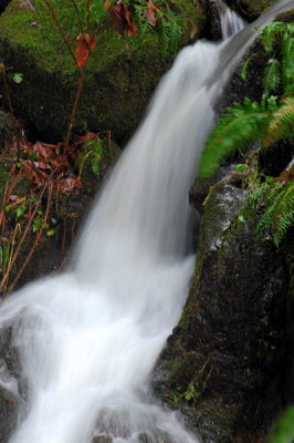 DSC_8391c_resize.jpg