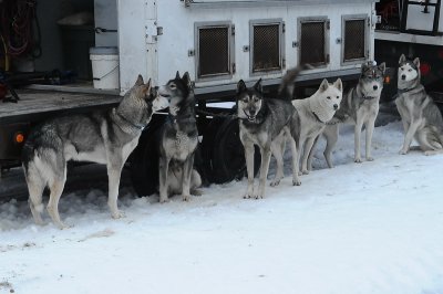DSC_9716_resize.jpg