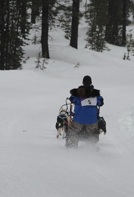 dog_sled_races_2011