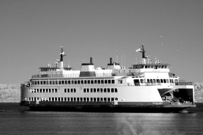 DSC_2962_resize.jpg