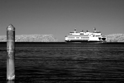 DSC_3020_resize.jpg