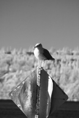 DSC_3007_resize.jpg