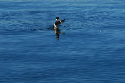 DSC_0545_resize.JPG