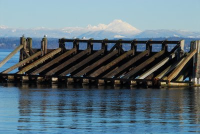 DSC_0577_resize.JPG