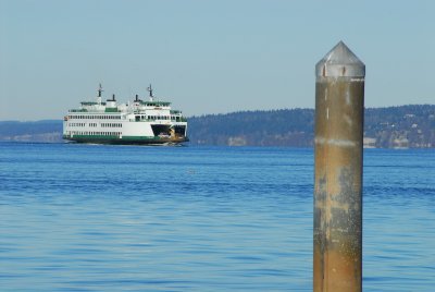 DSC_0591_resize.JPG
