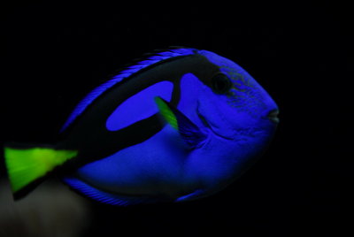 DSC_0306_resize.JPG