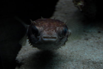 DSC_0313_resize.JPG