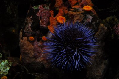 DSC_0345_resize.JPG
