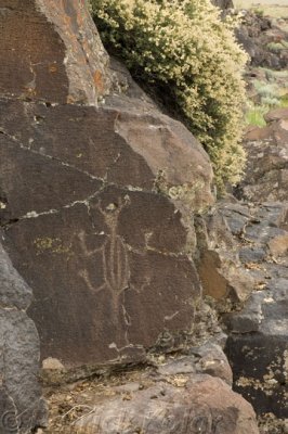 Pictograph Lake-Hart Mountain, OR