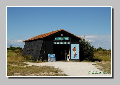 Saltmarsh - Hut
