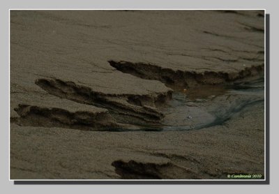 Erosion marine