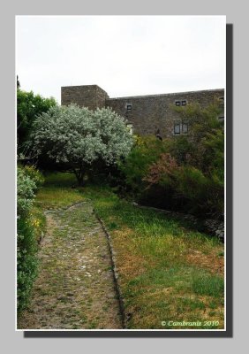 il y a un jardin