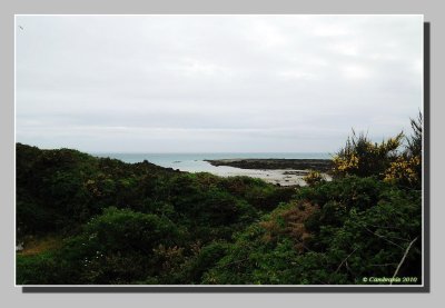 Nature sauvage