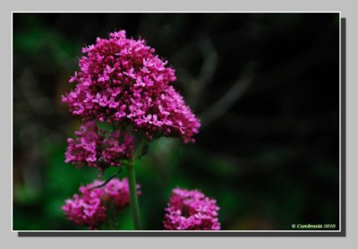g1/74/613374/3/125936869.rBt6TtcA.jpg