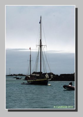 Le Lys noir