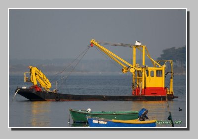 Oyster farming ship