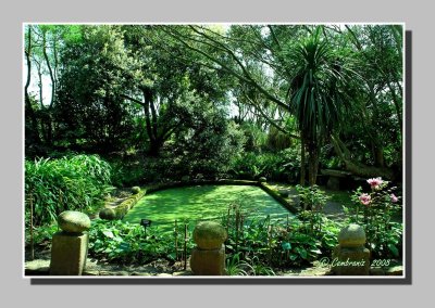 Botanic garden -Vauville-