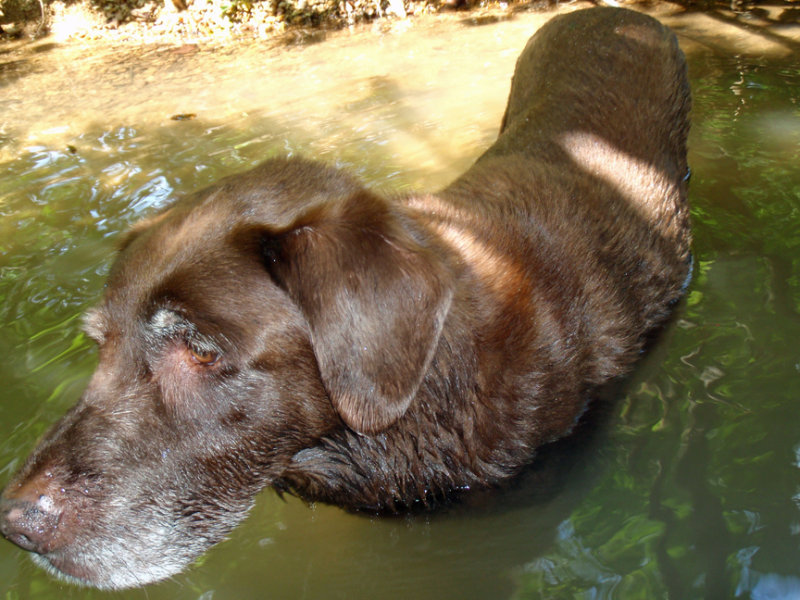 Swimming hole 002.jpg