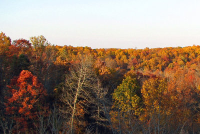 Fall color 08 023.jpg