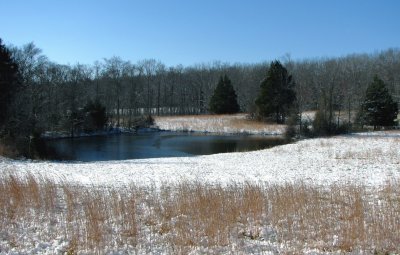 Pond Field Panorama.jpg