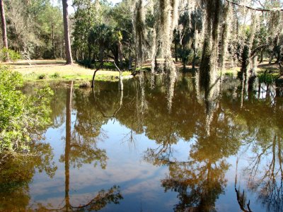 savannah_and_charleston