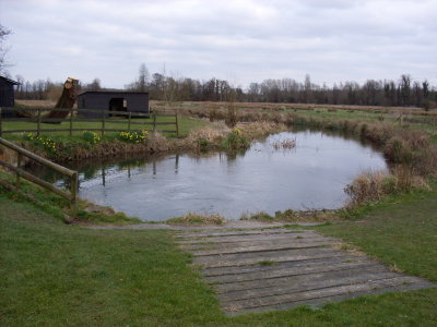 Barton Court Fishery