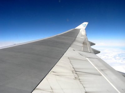 P7124871.jpg