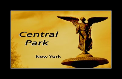 New York 2
