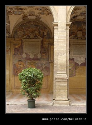 Library Courtyard #3, Bologna