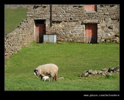 Keld Red Barn #05, Swaledale, North Yorkshire